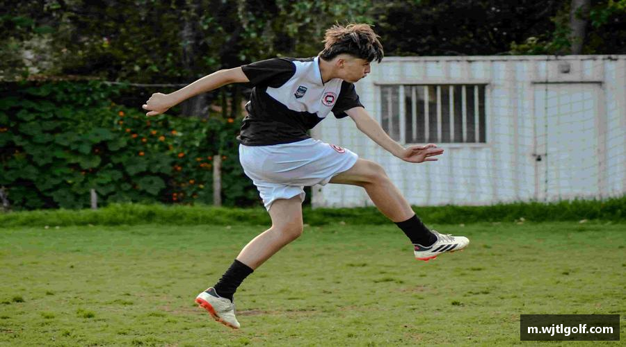 关于金狮贵宾会宾至如归显网址js